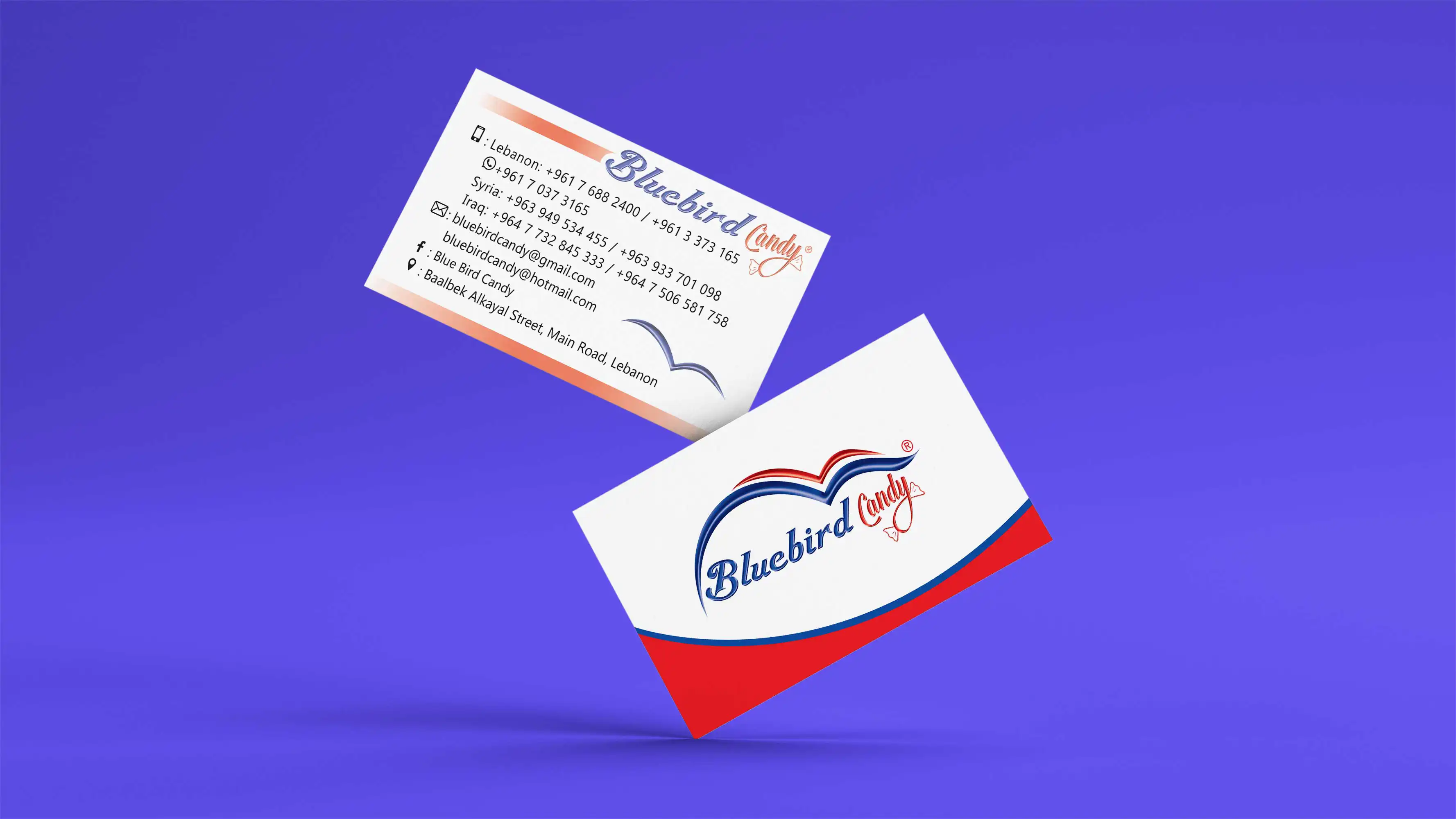 blue-bird-bussiness-card