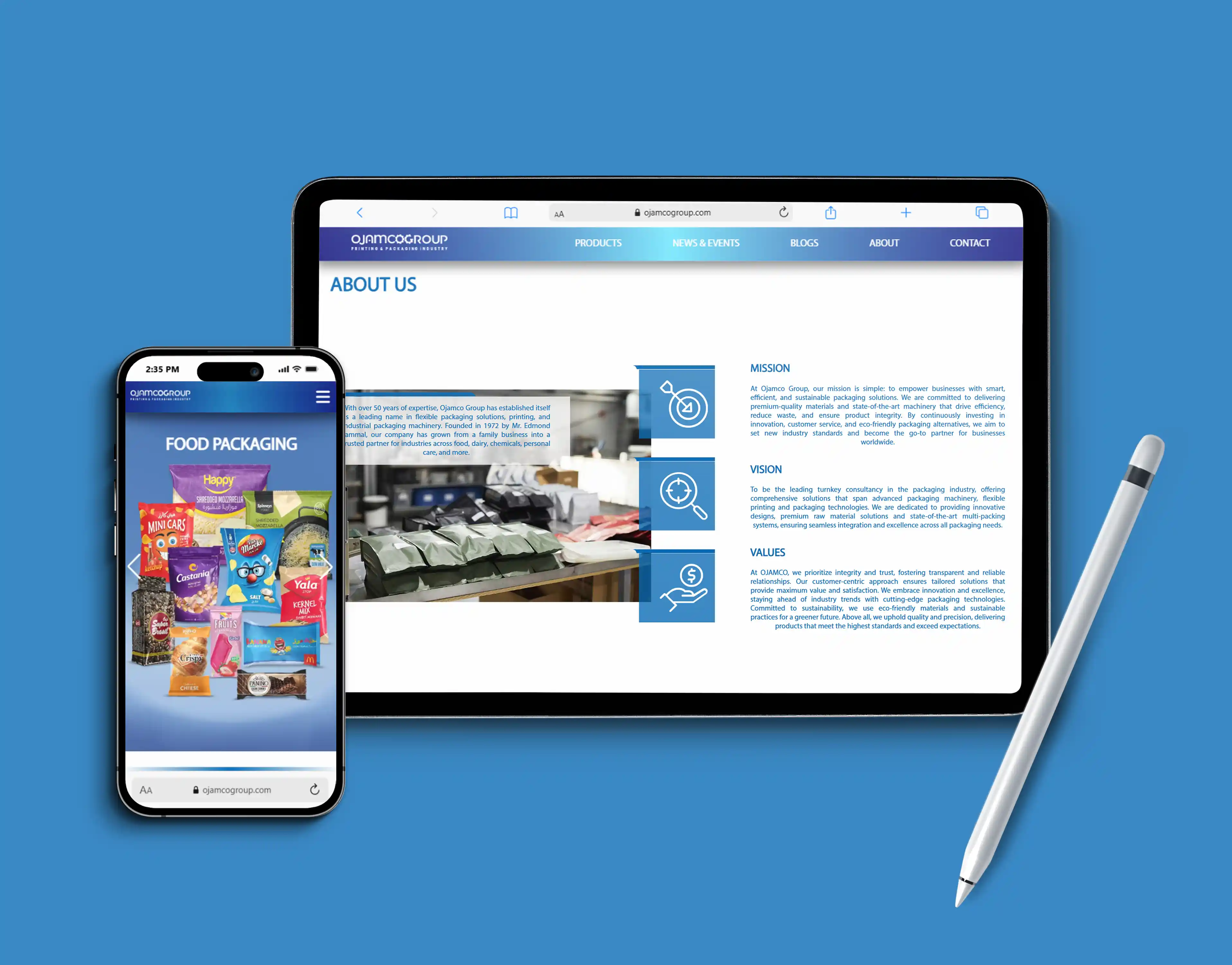 Ojamco rollup for the marketing plan